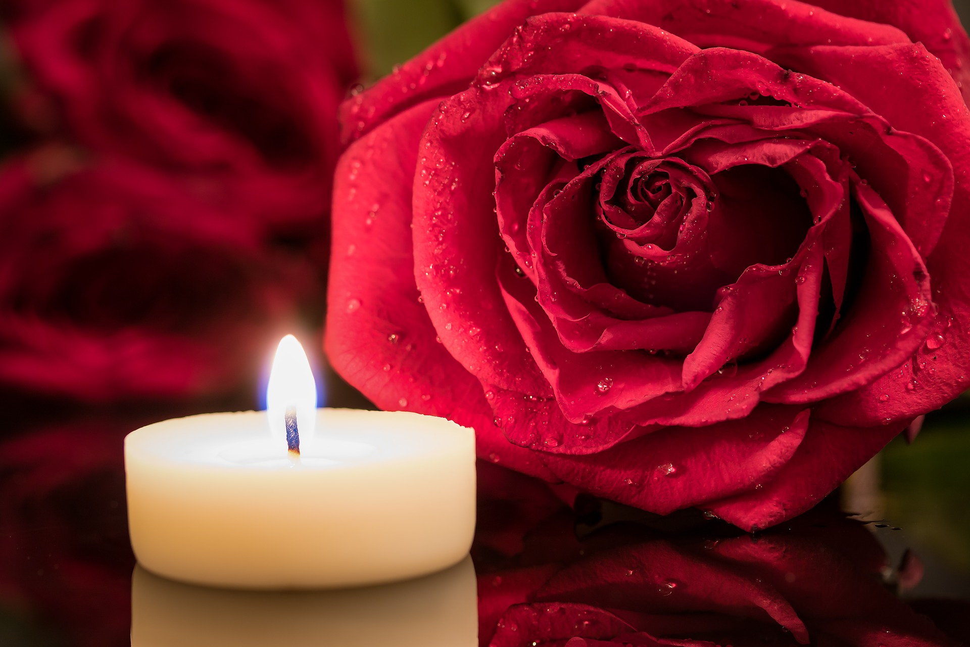 Aroha Funerals Auckland Extra Aroha from Aroha Funerals Auckland
