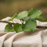 Kawakawa leaves on a calico blanket